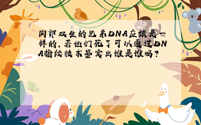 同卵双生的兄弟DNA应该是一样的,若他们死了可以通过DNA指纹技术鉴定出谁是谁吗?