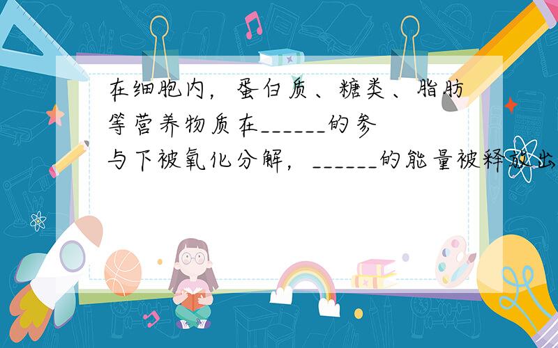 在细胞内，蛋白质、糖类、脂肪等营养物质在______的参与下被氧化分解，______的能量被释放出来，用于维持人的各项_