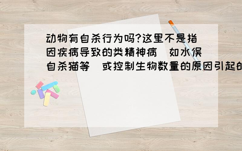 动物有自杀行为吗?这里不是指因疾病导致的类精神病（如水俣自杀猫等）或控制生物数量的原因引起的自杀,仅仅单纯指因类似于人类