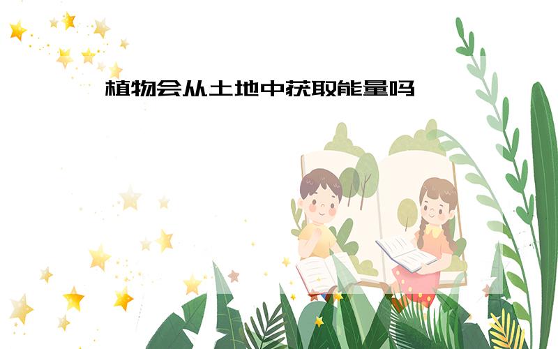 植物会从土地中获取能量吗