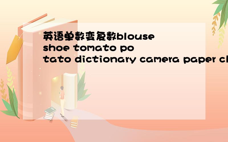 英语单数变复数blouse shoe tomato potato dictionary camera paper cli