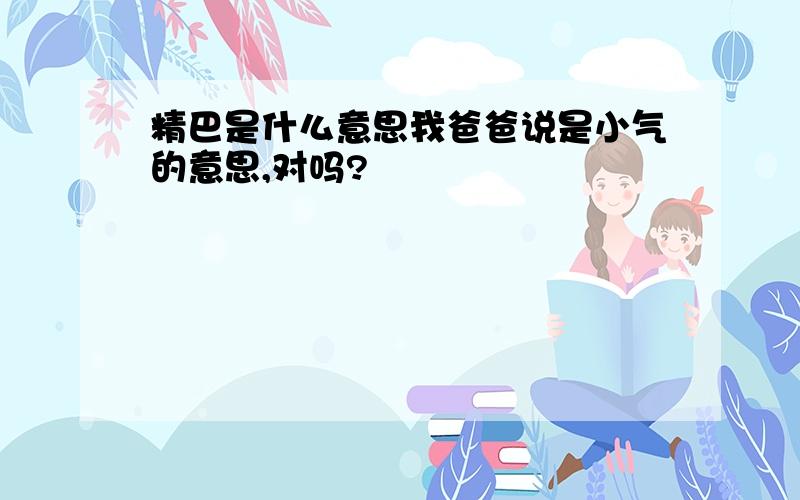 精巴是什么意思我爸爸说是小气的意思,对吗?