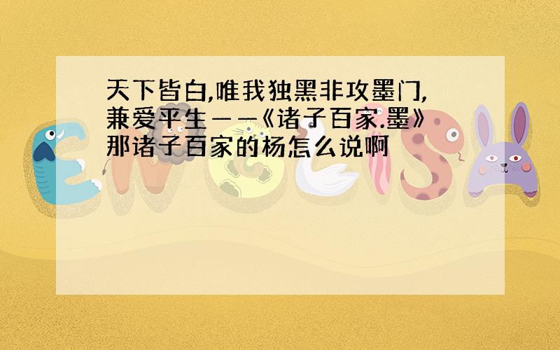 天下皆白,唯我独黑非攻墨门,兼爱平生——《诸子百家.墨》那诸子百家的杨怎么说啊