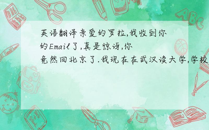 英语翻译亲爱的罗拉,我收到你的Email了,真是惊讶,你竟然回北京了.我现在在武汉读大学,学校是武汉大学.正好是大四,这