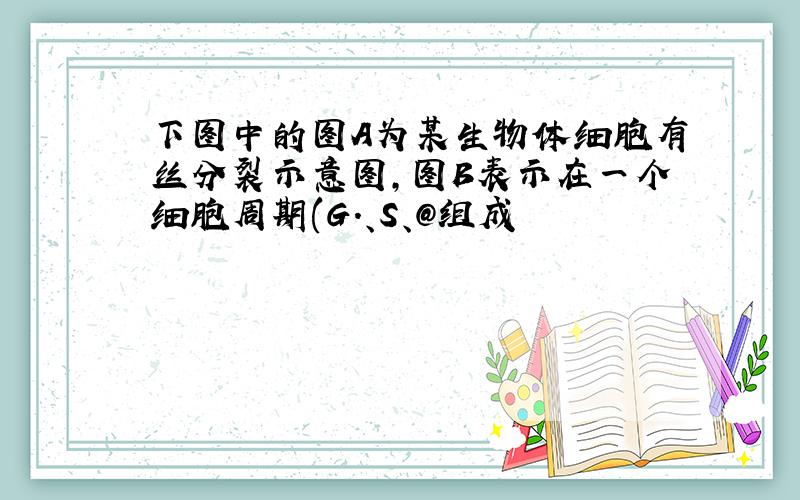 下图中的图A为某生物体细胞有丝分裂示意图,图B表示在一个细胞周期(G.、S、@组成