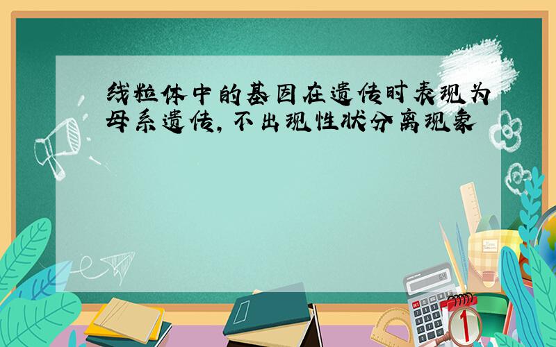 线粒体中的基因在遗传时表现为母系遗传,不出现性状分离现象