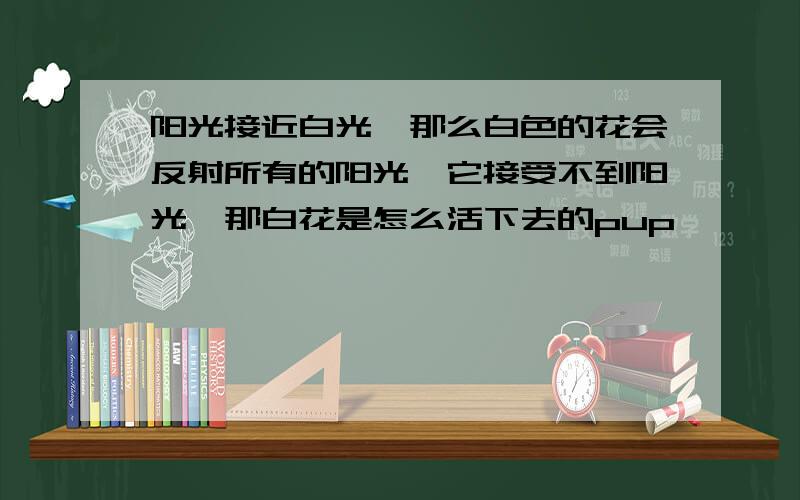 阳光接近白光,那么白色的花会反射所有的阳光,它接受不到阳光,那白花是怎么活下去的pup