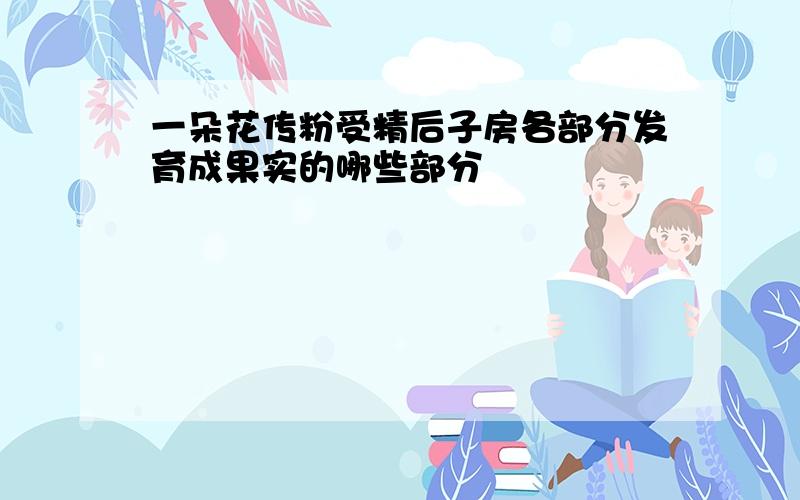 一朵花传粉受精后子房各部分发育成果实的哪些部分