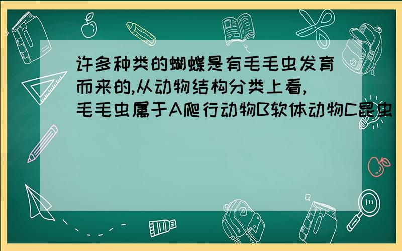 许多种类的蝴蝶是有毛毛虫发育而来的,从动物结构分类上看,毛毛虫属于A爬行动物B软体动物C昆虫