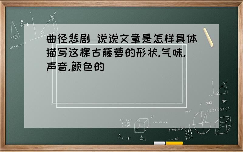 曲径悲剧 说说文章是怎样具体描写这棵古藤萝的形状.气味.声音.颜色的