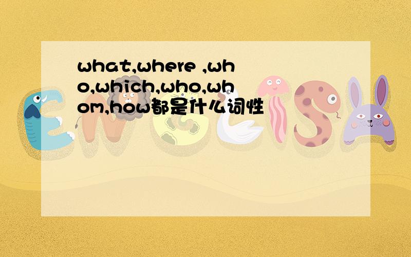 what,where ,who,which,who,whom,how都是什么词性