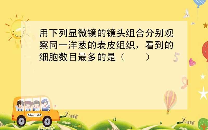 用下列显微镜的镜头组合分别观察同一洋葱的表皮组织，看到的细胞数目最多的是（　　）