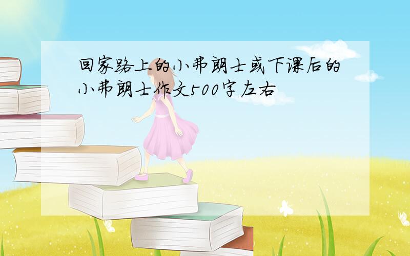 回家路上的小弗朗士或下课后的小弗朗士作文500字左右