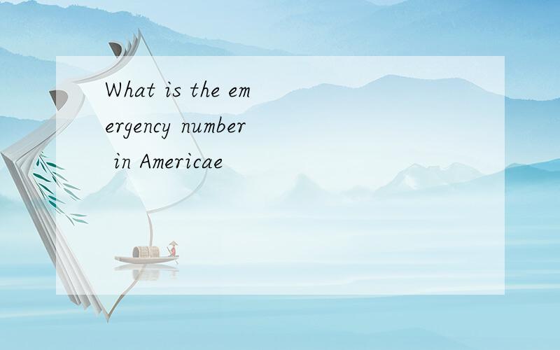 What is the emergency number in Americae