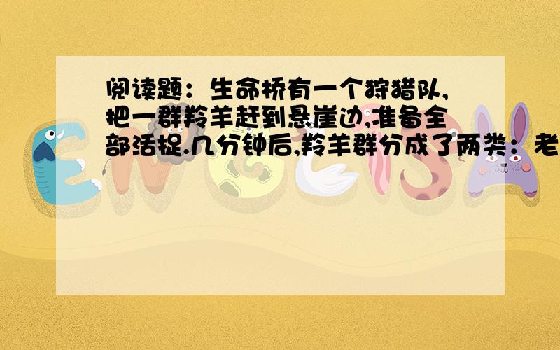 阅读题：生命桥有一个狩猎队,把一群羚羊赶到悬崖边,准备全部活捉.几分钟后,羚羊群分成了两类：老羚羊为一类,年轻羚羊为一类