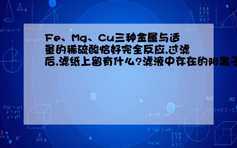 Fe、Mg、Cu三种金属与适量的稀硫酸恰好完全反应,过滤后,滤纸上留有什么?滤液中存在的阳离子有什么?在滤液中加入过量锌