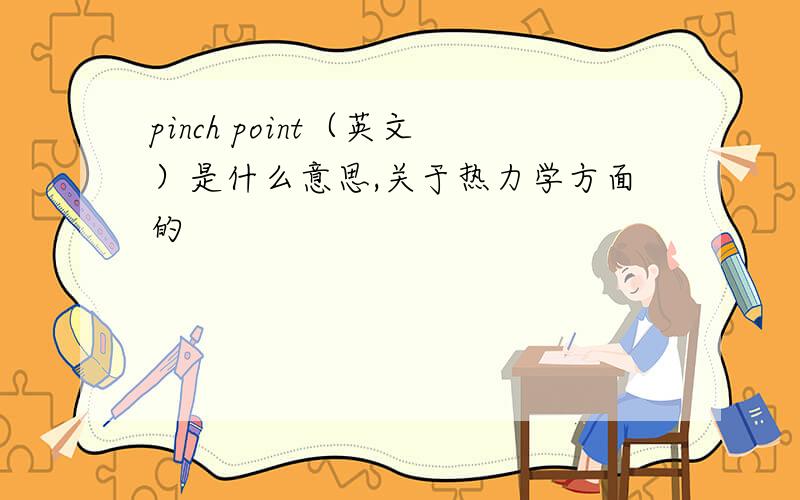 pinch point（英文）是什么意思,关于热力学方面的