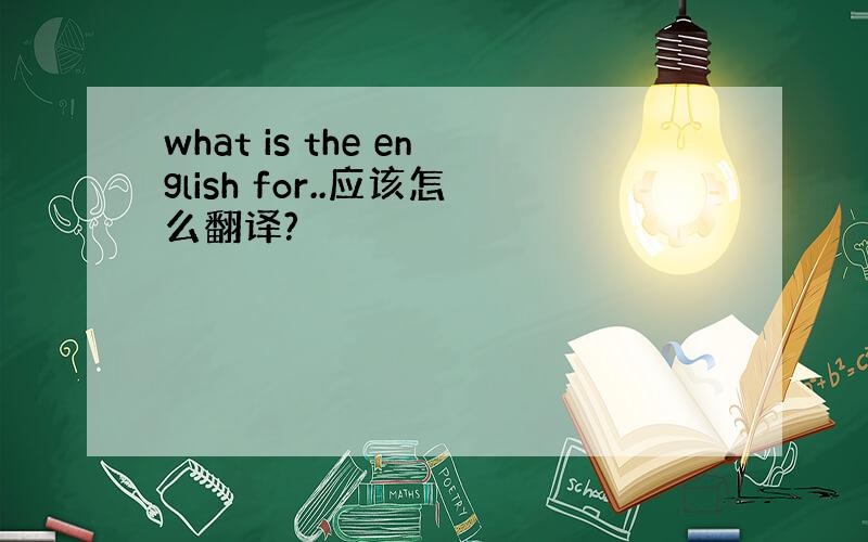 what is the english for..应该怎么翻译?