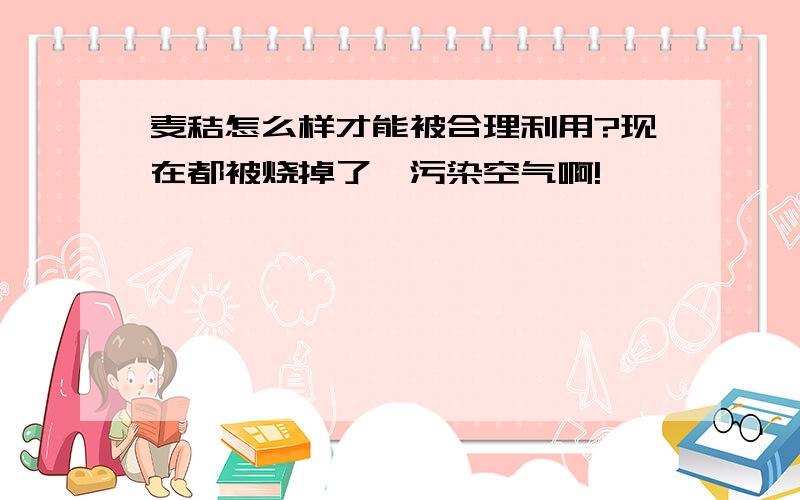 麦秸怎么样才能被合理利用?现在都被烧掉了,污染空气啊!