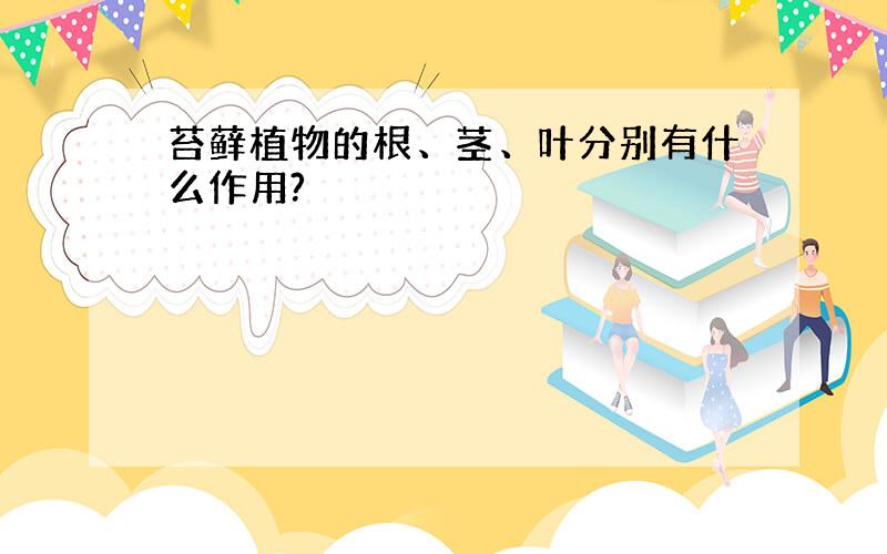 苔藓植物的根、茎、叶分别有什么作用?