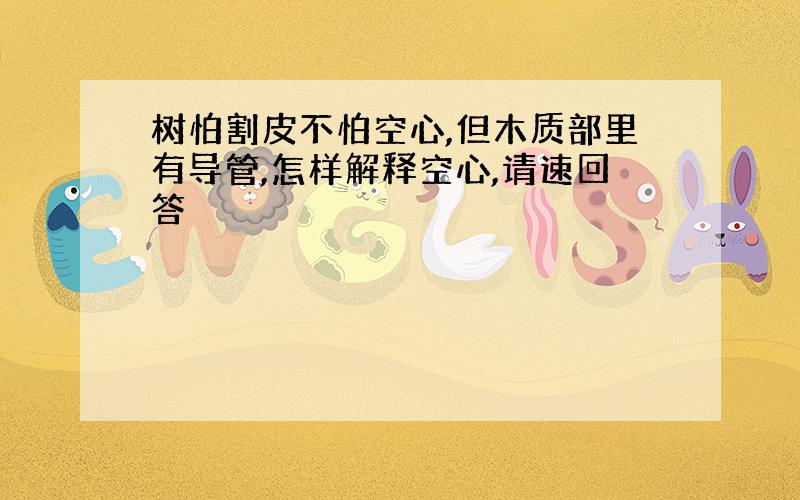 树怕割皮不怕空心,但木质部里有导管,怎样解释空心,请速回答