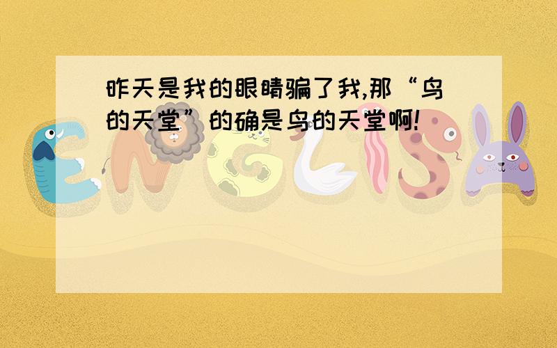 昨天是我的眼睛骗了我,那“鸟的天堂”的确是鸟的天堂啊!