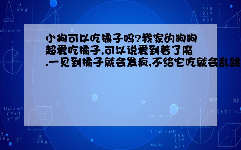 小狗可以吃橘子吗?我家的狗狗超爱吃橘子,可以说爱到着了魔.一见到橘子就会发疯,不给它吃就会乱跳乱叫.请问橘子对狗狗有什么