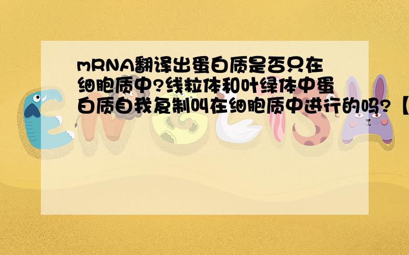 mRNA翻译出蛋白质是否只在细胞质中?线粒体和叶绿体中蛋白质自我复制叫在细胞质中进行的吗?【高中阶段】