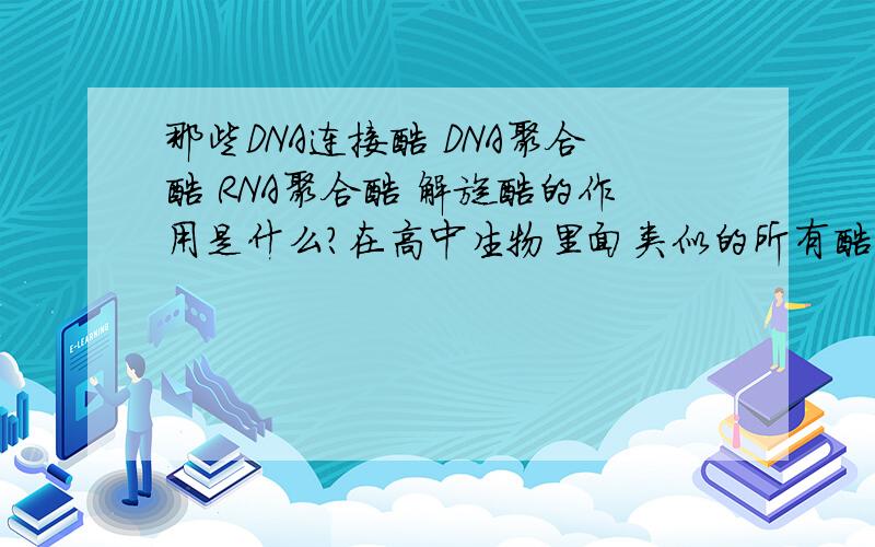 那些DNA连接酶 DNA聚合酶 RNA聚合酶 解旋酶的作用是什么?在高中生物里面类似的所有酶还有哪些?全部列出来