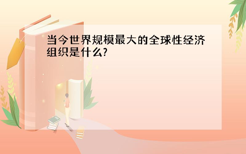 当今世界规模最大的全球性经济组织是什么?