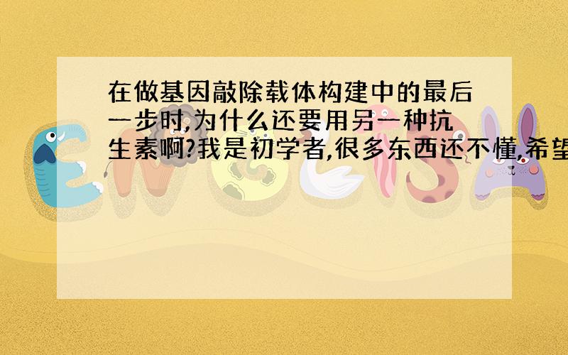 在做基因敲除载体构建中的最后一步时,为什么还要用另一种抗生素啊?我是初学者,很多东西还不懂,希望各位多多指教!