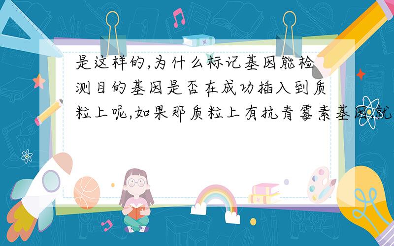 是这样的,为什么标记基因能检测目的基因是否在成功插入到质粒上呢,如果那质粒上有抗青霉素基因,就算它没有被插入目的基因,把