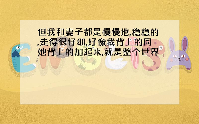 但我和妻子都是慢慢地,稳稳的,走得很仔细,好像我背上的同她背上的加起来,就是整个世界