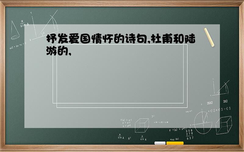 抒发爱国情怀的诗句,杜甫和陆游的,