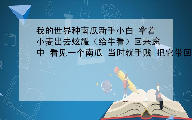 我的世界种南瓜新手小白,拿着小麦出去炫耀（给牛看）回来途中 看见一个南瓜 当时就手贱 把它带回家了摆放在了家里 问 它还