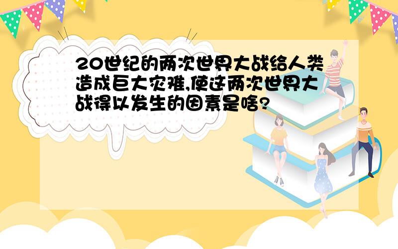 20世纪的两次世界大战给人类造成巨大灾难,使这两次世界大战得以发生的因素是啥?