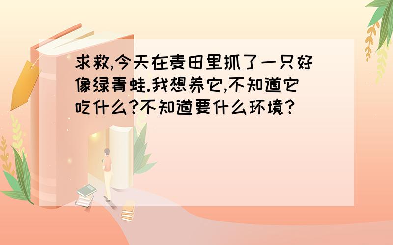 求救,今天在麦田里抓了一只好像绿青蛙.我想养它,不知道它吃什么?不知道要什么环境?