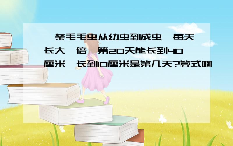 一条毛毛虫从幼虫到成虫,每天长大一倍,第20天能长到40厘米,长到10厘米是第几天?算式啊