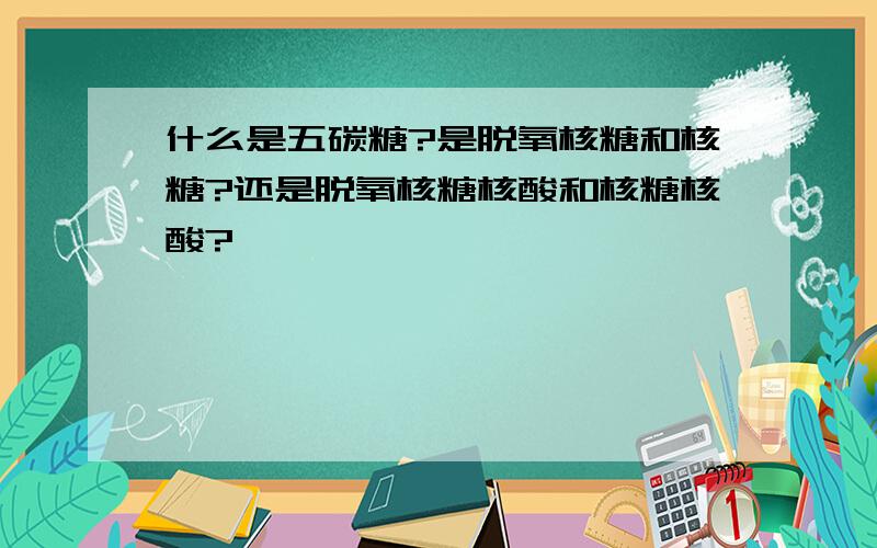 什么是五碳糖?是脱氧核糖和核糖?还是脱氧核糖核酸和核糖核酸?