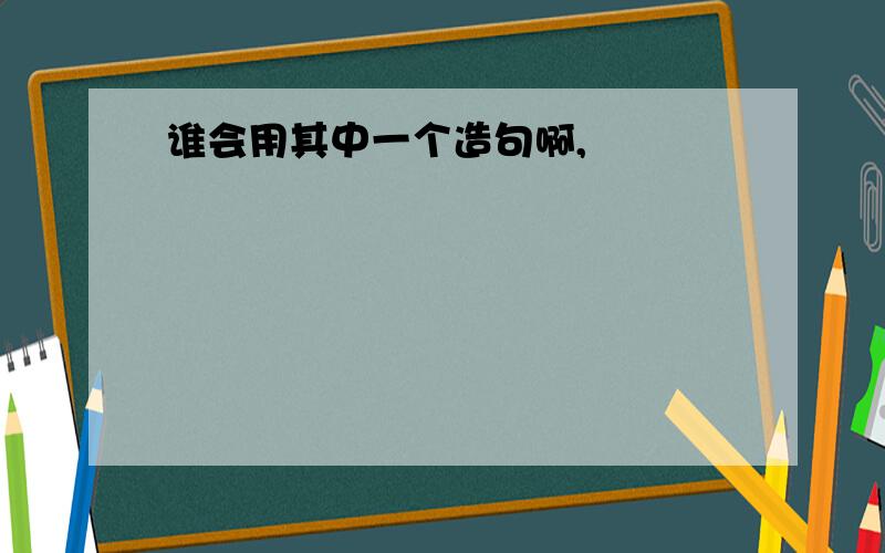 谁会用其中一个造句啊,