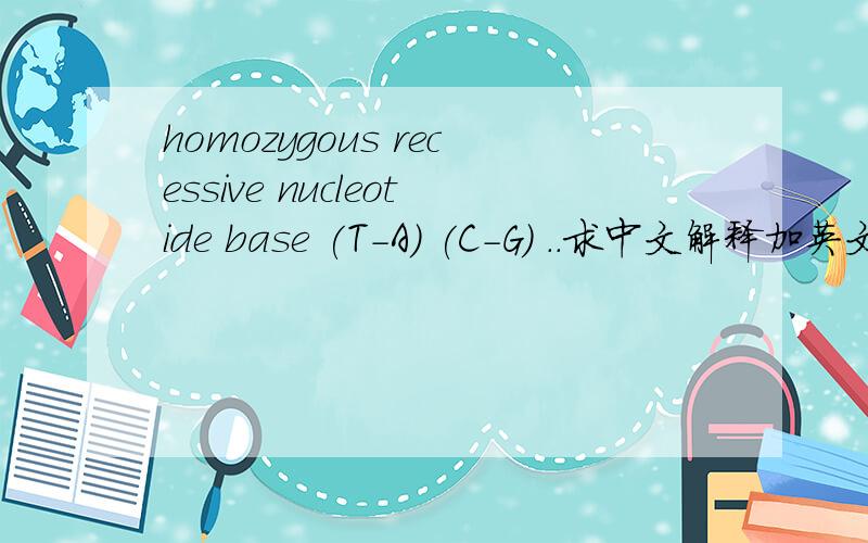 homozygous recessive nucleotide base (T-A) (C-G) ..求中文解释加英文.