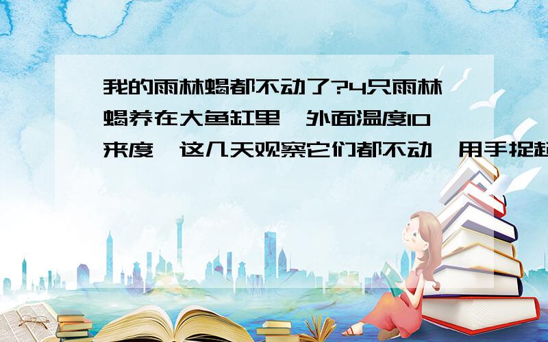 我的雨林蝎都不动了?4只雨林蝎养在大鱼缸里,外面温度10来度,这几天观察它们都不动,用手捉起来都是不怎么动,好像死了一样