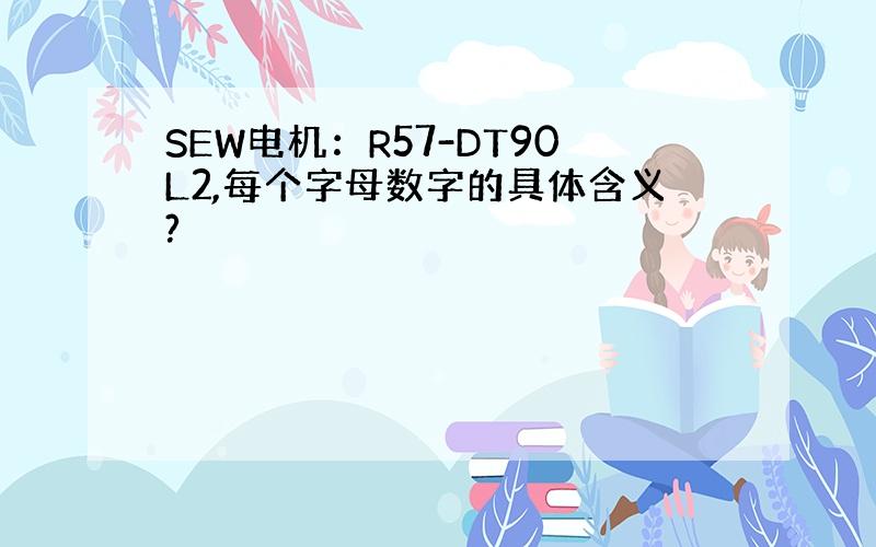 SEW电机：R57-DT90L2,每个字母数字的具体含义?