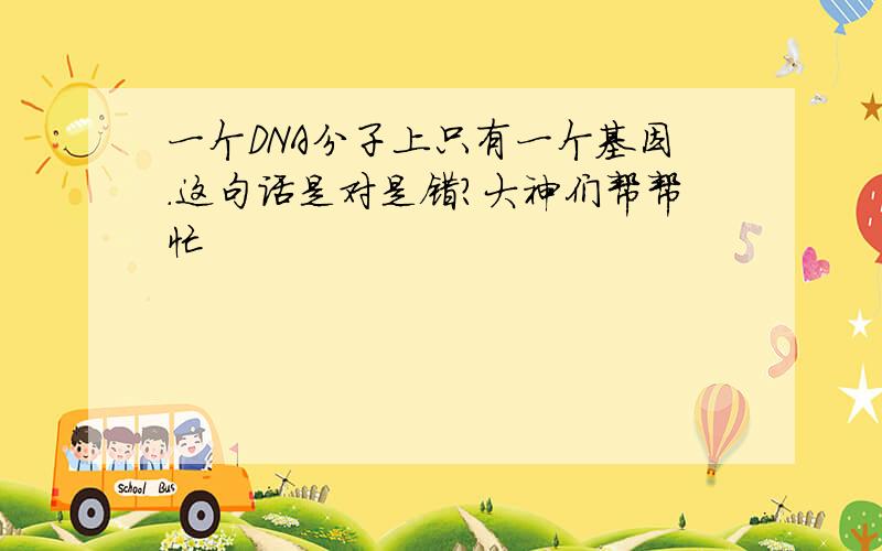 一个DNA分子上只有一个基因.这句话是对是错?大神们帮帮忙