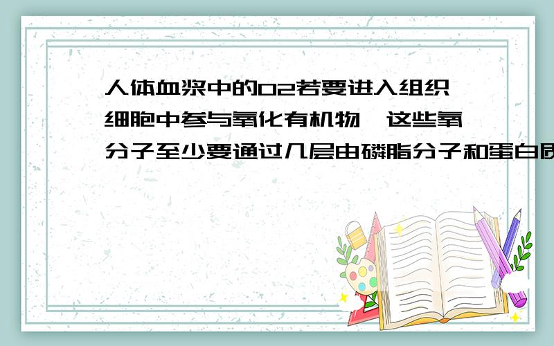 人体血浆中的O2若要进入组织细胞中参与氧化有机物,这些氧分子至少要通过几层由磷脂分子和蛋白质分子组成的膜?