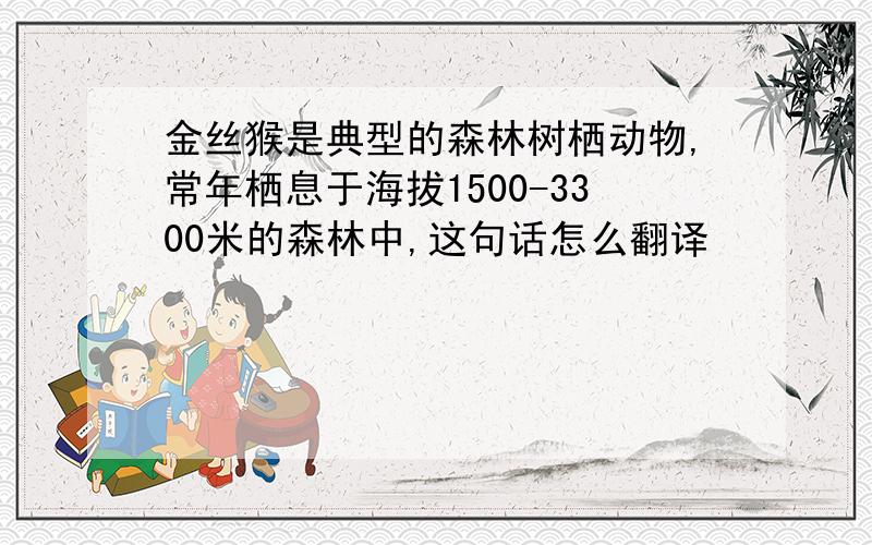 金丝猴是典型的森林树栖动物,常年栖息于海拔1500-3300米的森林中,这句话怎么翻译