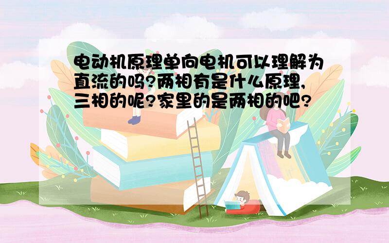 电动机原理单向电机可以理解为直流的吗?两相有是什么原理,三相的呢?家里的是两相的吧?