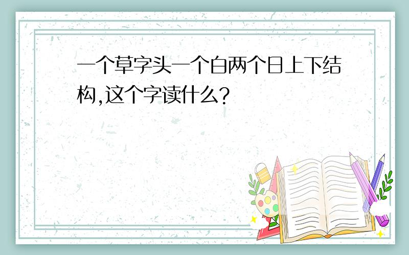 一个草字头一个白两个日上下结构,这个字读什么?