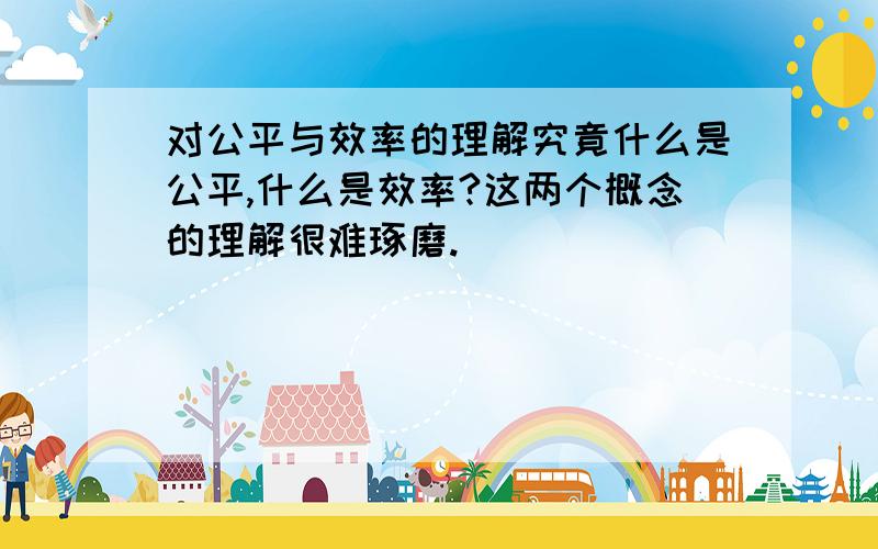 对公平与效率的理解究竟什么是公平,什么是效率?这两个概念的理解很难琢磨.