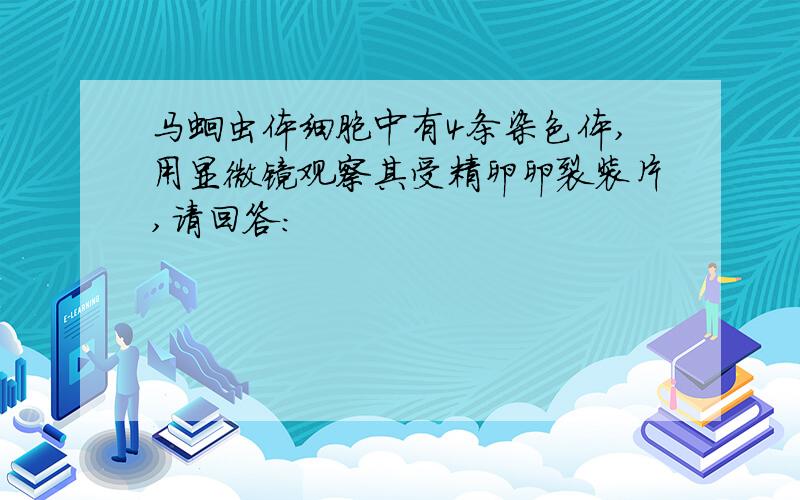 马蛔虫体细胞中有4条染色体,用显微镜观察其受精卵卵裂装片,请回答：